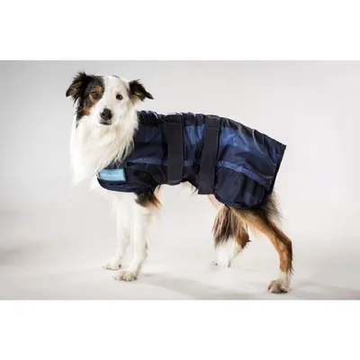 DOG Copenhagen Back-on-Track Manteau Rafraîchissant Anti UV Cool on Track p