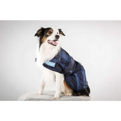 DOG Copenhagen Back-on-Track Manteau Rafraîchissant Anti UV Cool on Track p