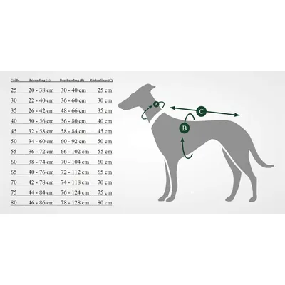 HUNTER Manteau pour Chien Uppsala Allrouner, 45 Anthracite/Rouge