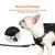 Amazon Basics - Harnais pour chien sans traction, avec clip sur le devant,