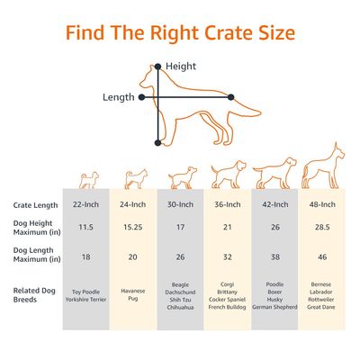 Basics Cage pour chien pliable en fil métallique avec plateau, Double porte