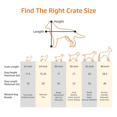 Basics Cage pour chien pliable en fil métallique avec plateau, Double porte