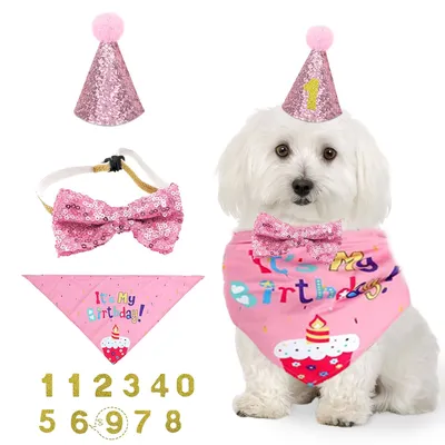 NITAIUN 4 Pieces Animal de Compagnie Chat Chien Anniversaire Bandana Ensemb NITAIUN 4 Pieces Animal de Compagnie Chat Chien Anniversaire Bandana Ensemb