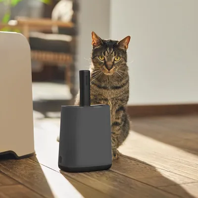 ROTHO Pelle Litière avec support - BIALA - Anthracite