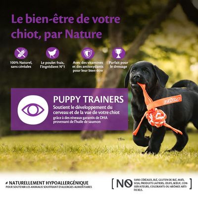 WELLNESS CORE Puppy Trainers Poulet & Carottes, Friandises d'apprentissage