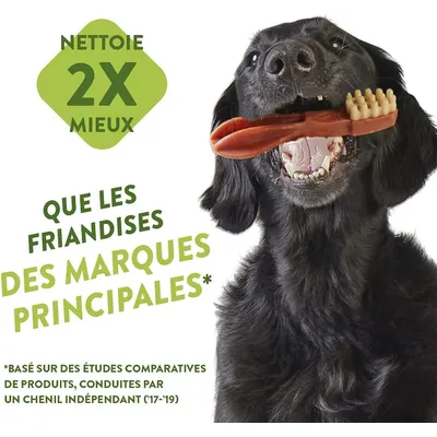 WHIMZEES Friandises Naturelles pour Chiens – Hygiène Bucco-Dentaire