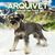 Arquivet Filets de Poulet 350 g - Snacks 100% naturels pour Chiens - Chuche
