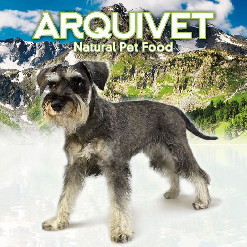 Arquivet Filets de Poulet 350 g - Snacks 100% naturels pour Chiens - Chuche