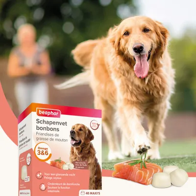BEAPHAR – Friandises pour Chien à la Graisse de Mouton et Saumon