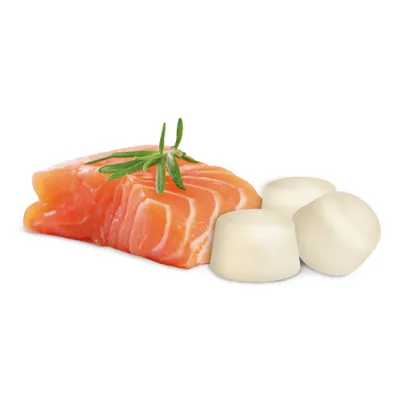 BEAPHAR – Friandises pour Chien à la Graisse de Mouton et Saumon