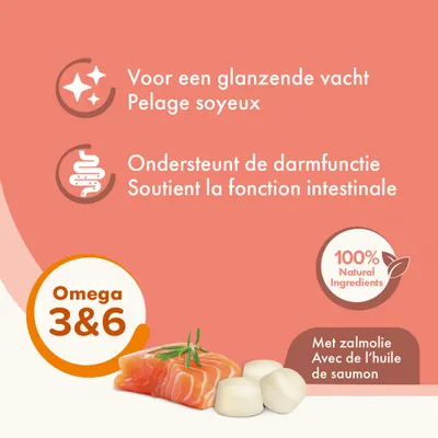 BEAPHAR – Friandises pour Chien à la Graisse de Mouton et Saumon