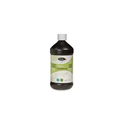 HORSE MASTER - Super Liniment - Liniment Musculaire Cheval HORSE MASTER - Super Liniment - Liniment Musculaire Cheval