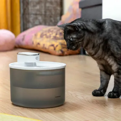 InnovaGoods Fontaine à eau avec capteur de mouvement pour chats et chiens