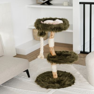 RHR Quality Arbre à chat Furry Bengaal