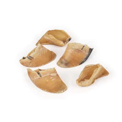 A PET STORE – Sabots de veau