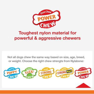 Nylabone Jouet à mâcher pour chiens