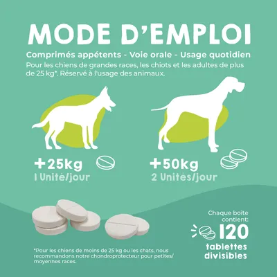 MAIKAI Comprimés Anti Arthrose Chiens de Grande Taille