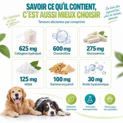 MAIKAI Comprimés Anti Arthrose Chiens de Grande Taille