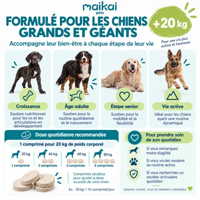 MAIKAI Comprimés Anti Arthrose Chiens de Grande Taille