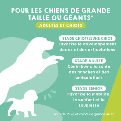 MAIKAI Comprimés Anti Arthrose Chiens de Grande Taille