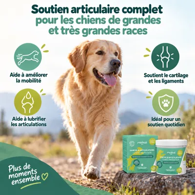 MAIKAI Comprimés Anti Arthrose Chiens de Grande Taille