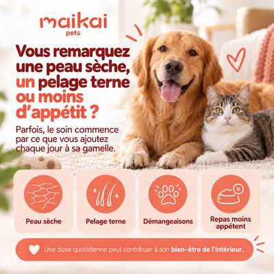 MAIKAI Huile de Saumon Chien et Chat - 100% Naturel - Riche en Omega 3