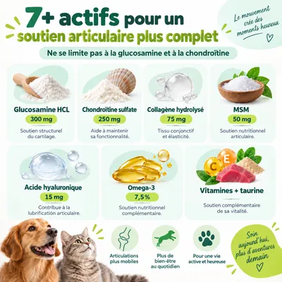 MAIKAI Comprimés Anti Arthrose Chat et Chien Petite et Moyenne Taille