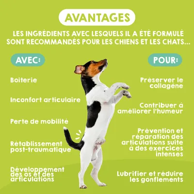 MAIKAI Comprimés Anti Arthrose Chat et Chien Petite et Moyenne Taille