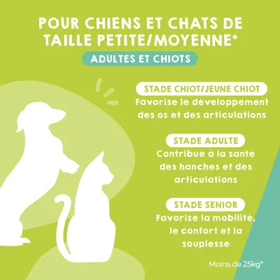 MAIKAI Comprimés Anti Arthrose Chat et Chien Petite et Moyenne Taille