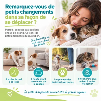 MAIKAI Comprimés Anti Arthrose Chat et Chien Petite et Moyenne Taille