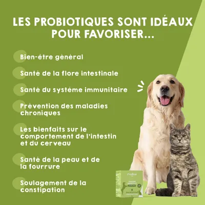 MAIKAI Probiotique naturel Chien et Chat - Système Immunitaire et Diarrhée