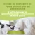 MAIKAI Probiotique naturel Chien et Chat - Système Immunitaire et Diarrhée