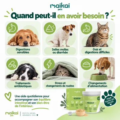 MAIKAI Probiotique naturel Chien et Chat - Système Immunitaire et Diarrhée MAIKAI Probiotique naturel Chien et Chat - Système Immunitaire et Diarrhée
