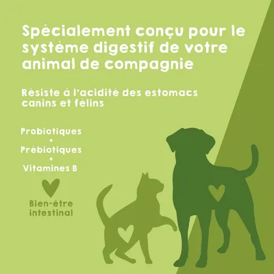 MAIKAI Probiotique naturel Chien et Chat - Système Immunitaire et Diarrhée