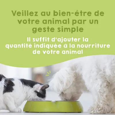 MAIKAI Probiotique naturel Chien et Chat - Système Immunitaire et Diarrhée