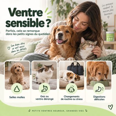 MAIKAI Probiotique naturel Chien et Chat - Système Immunitaire et Diarrhée