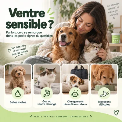 MAIKAI Probiotique naturel Chien et Chat - Système Immunitaire et Diarrhée MAIKAI Probiotique naturel Chien et Chat - Système Immunitaire et Diarrhée