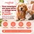 MAIKAI Huile de Saumon Chien et Chat - 100% Naturel - Riche en Omega 3 MAIKAI Huile de Saumon Chien et Chat - 100% Naturel - Riche en Omega 3