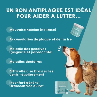 MAIKAI Plaque Remover. Traitement Mauvaise haleine Chien et chat