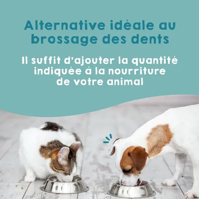 MAIKAI Plaque Remover. Traitement Mauvaise haleine Chien et chat