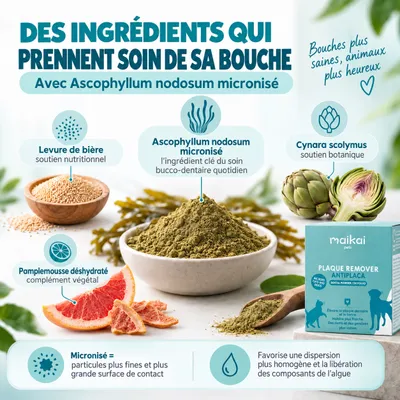 MAIKAI Plaque Remover. Traitement Mauvaise haleine Chien et chat