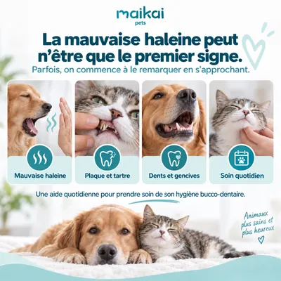 MAIKAI Plaque Remover. Traitement Mauvaise haleine Chien et chat