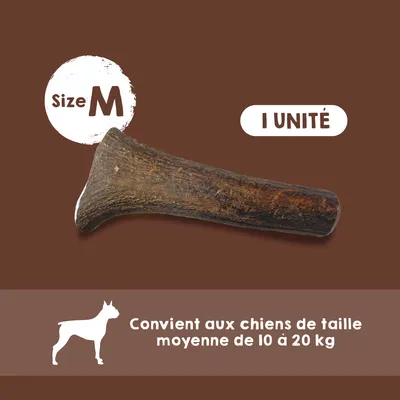 MAIKAI Bois de Cerf pour Chien 100% Naturel - Os à Mâcher - Jouet Résistant