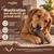 MAIKAI Bois de Cerf pour Chien 100% Naturel - Os à Mâcher - Jouet Résistant MAIKAI Bois de Cerf pour Chien 100% Naturel - Os à Mâcher - Jouet Résistant