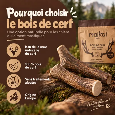 MAIKAI Bois de Cerf pour Chien 100% Naturel - Os à Mâcher - Jouet Résistant
