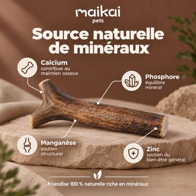 MAIKAI Bois de Cerf pour Chien 100% Naturel - Os à Mâcher - Jouet Résistant