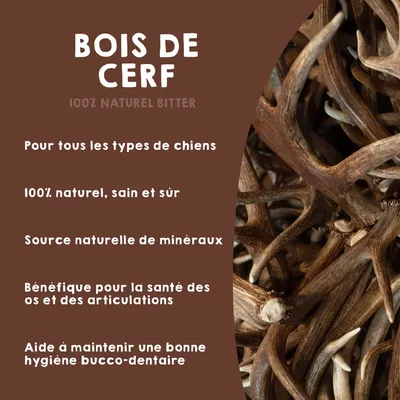 MAIKAI Bois de Cerf pour Chien 100% Naturel - Os à Mâcher - Jouet Résistant