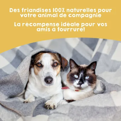 Lot 3 x 100g Poulet Séché - Friandises Chien 100% Naturelles Lot 3 x 100g Poulet Séché - Friandises Chien 100% Naturelles