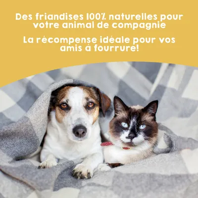 MAIKAI Lot 3 x 100g Poulet Séché - Friandises Chien 100% Naturelles