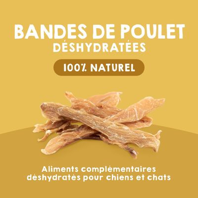 Lot 3 x 100g Poulet Séché - Friandises Chien 100% Naturelles